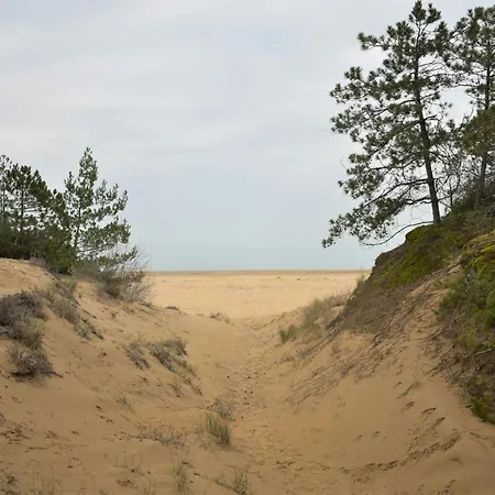 Spacious, Comfortable And Recently Renovated Single Villa In Lignano Riviera Hotel Lignano Sabbiadoro