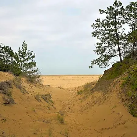 Spacious, Comfortable And Recently Renovated Single In Lignano Riviera 4*